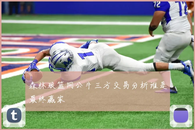森林狼篮网公牛三方交易分析谁是最终赢家