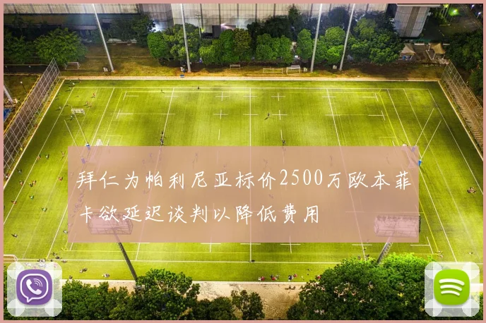 拜仁为帕利尼亚标价2500万欧本菲卡欲延迟谈判以降低费用